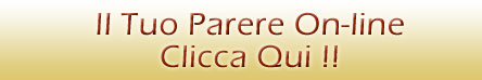 Il tuo parere online